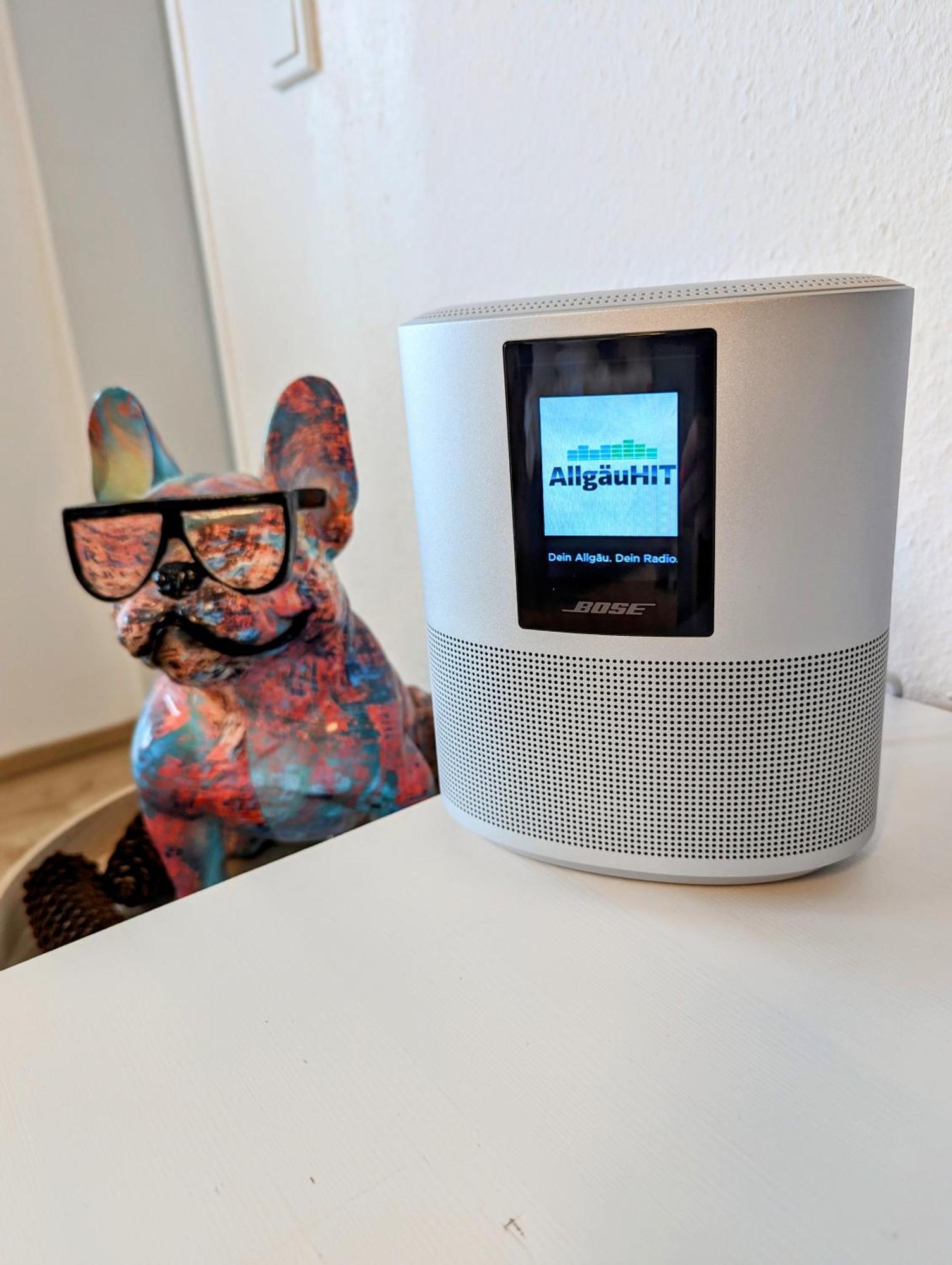 Ferienwohnung Bergpfote - Hund Herzlich Willkommen シャイデック エクステリア 写真